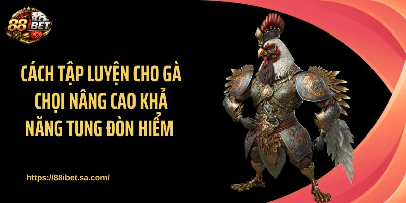 Cách tập luyện cho gà chọi nâng cao khả năng tung đòn hiểm