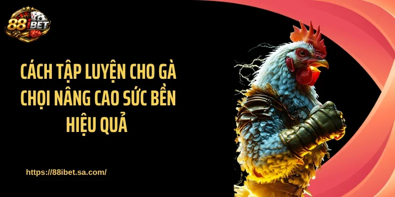 Cách tập luyện cho gà chọi nâng cao sức bền hiệu quả