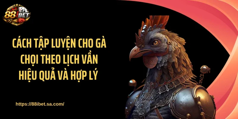 Cách tập luyện cho gà chọi theo lịch vần hiệu quả và hợp lý