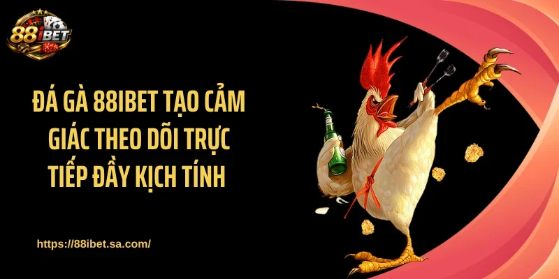 Đá gà 88IBET tạo cảm giác theo dõi trực tiếp đầy kịch tính 