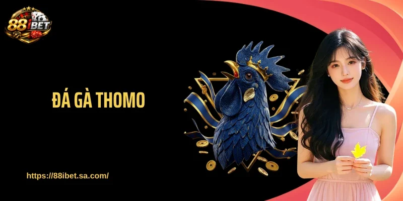 Đá gà Thomo - Những Màn Lật Kèo Chỉ Sau Một Cú Đá